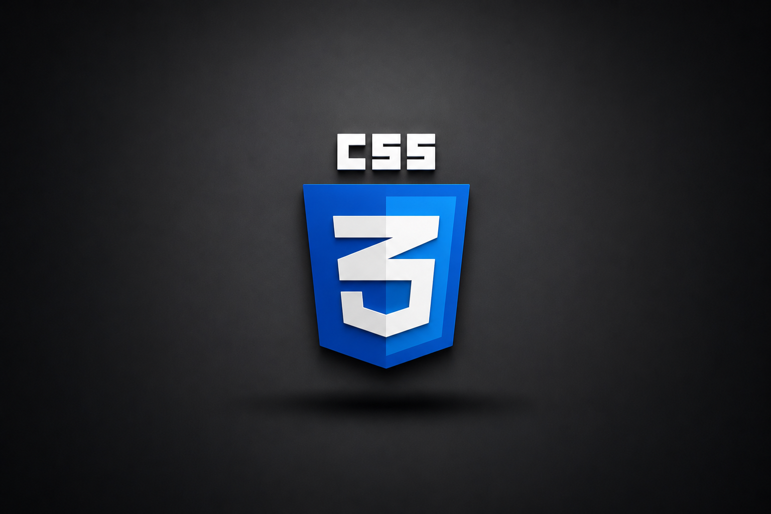 CSS